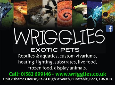 Wrigglies Exotic Pets